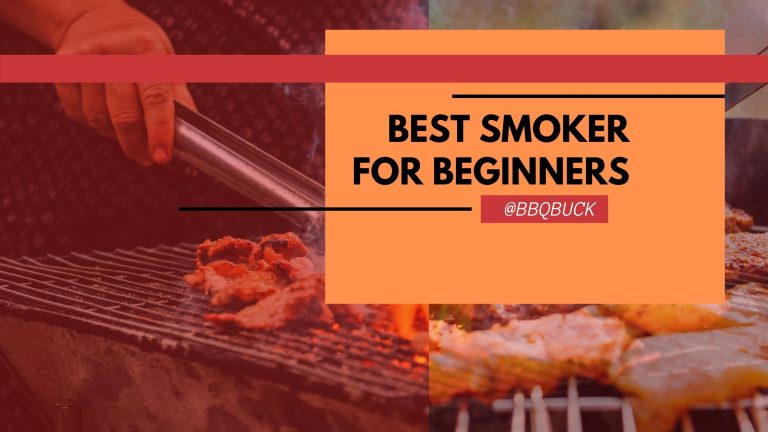 best beginners smoker