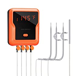 best digital meat thermometer for smoker