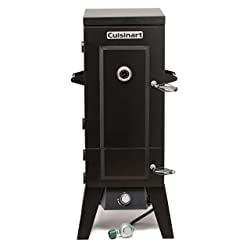 Best professional gas smokers