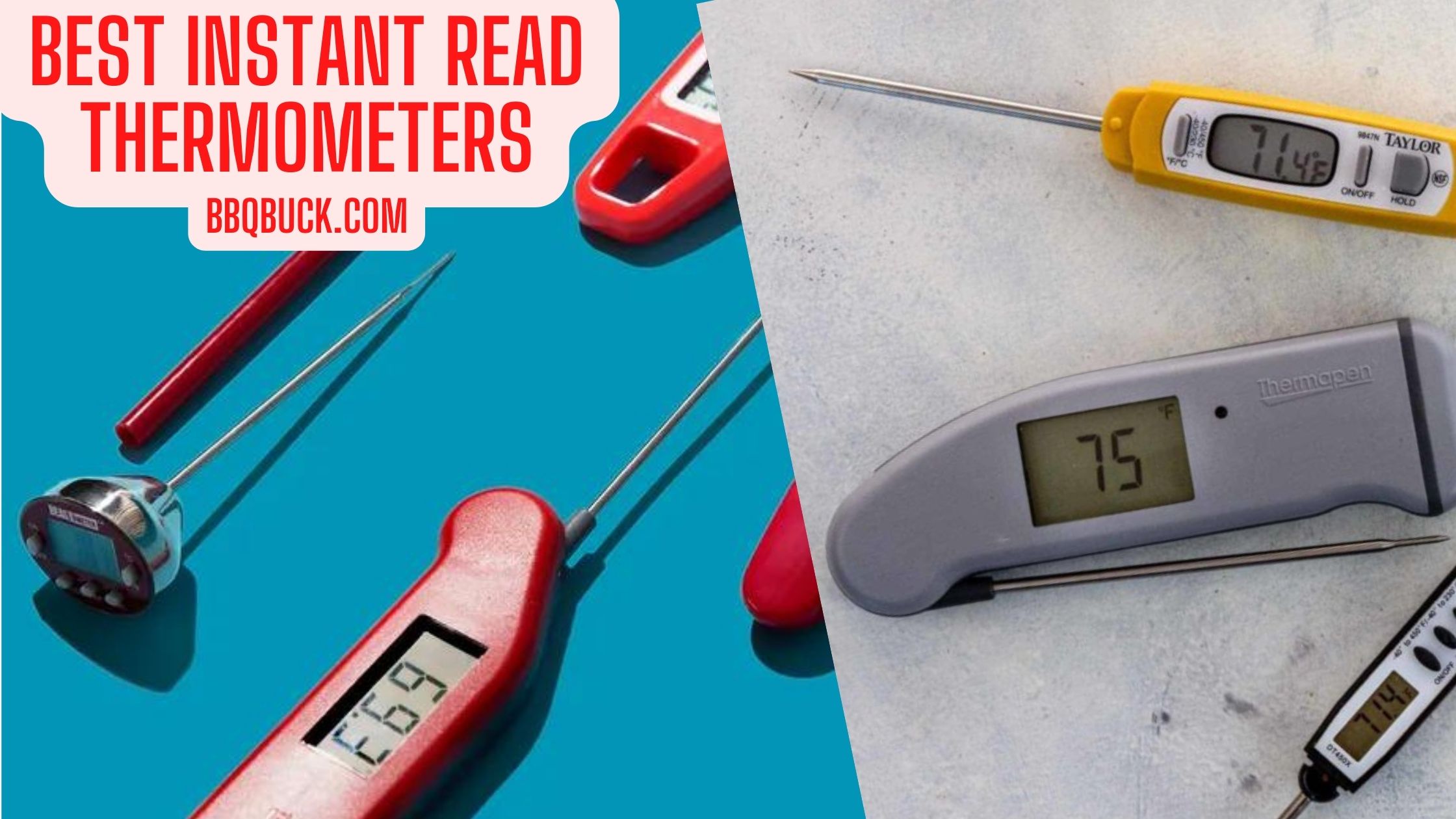 Top Rated Quick Reading Thermometer for Meat & Liquids