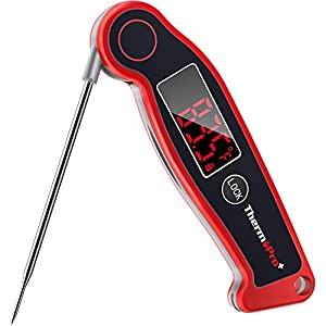 professional instant read thermometer