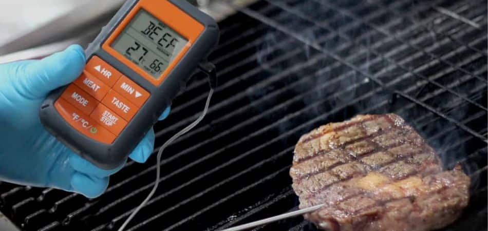 probe Thermometer for grill